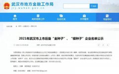 喜讯!中电光谷44家园区企业入选2021年武汉上市后备“金种子”“银种